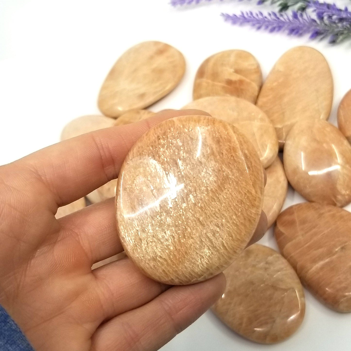 Peach Moonstone Palmstone - Funky Stuff